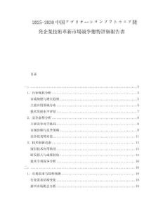 2025-2030中國アプリケーションソフトウェア開発企業(yè)技術(shù)革新市場競爭態(tài)勢評(píng)価報(bào)告書