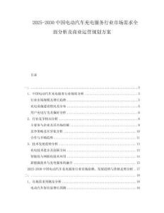 2025-2030中國電動汽車充電服務(wù)行業(yè)市場需求全面分析及商業(yè)運營規(guī)劃方案