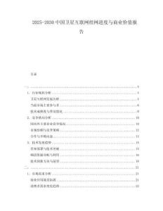 2025-2030中國衛(wèi)星互聯(lián)網(wǎng)組網(wǎng)進度與商業(yè)價值報告