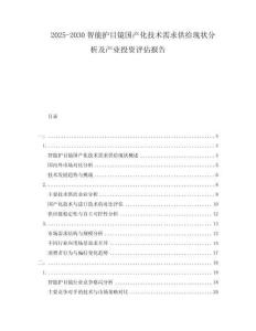 2025-2030智能護(hù)目鏡國產(chǎn)化技術(shù)需求供給現(xiàn)狀分析及產(chǎn)業(yè)投資評估報告