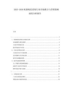 2025-2030機(jī)器視覺(jué)系統(tǒng)行業(yè)市場(chǎng)潛力與營(yíng)銷策略深度分析報(bào)告