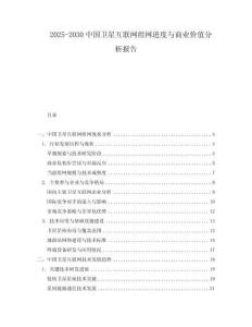 2025-2030中國衛(wèi)星互聯(lián)網(wǎng)組網(wǎng)進度與商業(yè)價值分析報告