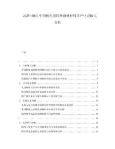 2025-2030中國核電用特種鋼材材料國產(chǎn)化突破點(diǎn)分析
