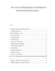 2025-2030中國(guó)智能交通系統(tǒng)行業(yè)市場(chǎng)發(fā)展供需分析及投資發(fā)展前景規(guī)劃分析報(bào)告