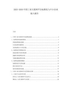 2025-2030中國工業(yè)互聯(lián)網(wǎng)平臺標(biāo)準(zhǔn)化與中小企業(yè)接入報告