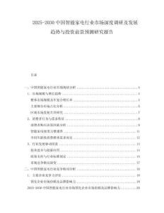 2025-2030中國(guó)智能家電行業(yè)市場(chǎng)深度調(diào)研及發(fā)展趨勢(shì)與投資前景預(yù)測(cè)研究報(bào)告