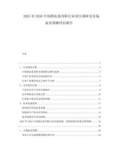 2025至2030中國搭扣系列鞋行業(yè)項目調(diào)研及市場前景預(yù)測評估報告