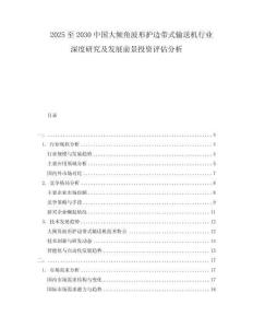 2025至2030中國(guó)大傾角波形護(hù)邊帶式輸送機(jī)行業(yè)深度研究及發(fā)展前景投資評(píng)估分析
