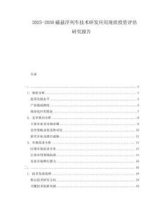 2025-2030磁懸浮列車技術(shù)研發(fā)應(yīng)用現(xiàn)狀投資評估研究報告