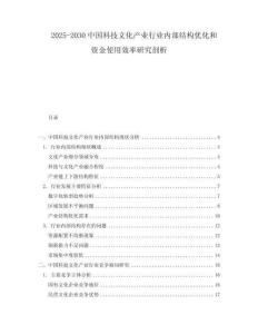 2025-2030中國科技文化產(chǎn)業(yè)行業(yè)內(nèi)部結(jié)構(gòu)優(yōu)化和資金使用效率研究剖析
