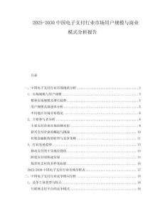 2025-2030中國(guó)電子支付行業(yè)市場(chǎng)用戶規(guī)模與商業(yè)模式分析報(bào)告