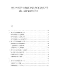 2025-2030數(shù)字經(jīng)濟(jì)創(chuàng)新基地政策紅利分析及產(chǎn)業(yè)融合與融資渠道優(yōu)化研究