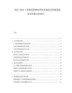 2025-2030工業(yè)視覺檢測標準體系建設(shè)及智能制造需求匹配分析報告