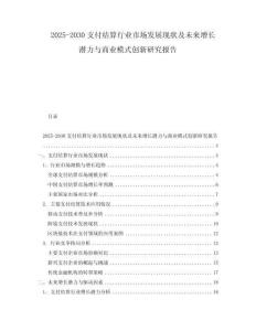 2025-2030支付結(jié)算行業(yè)市場發(fā)展現(xiàn)狀及未來增長潛力與商業(yè)模式創(chuàng)新研究報告