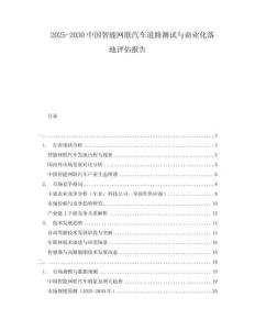 2025-2030中國智能網(wǎng)聯(lián)汽車道路測試與商業(yè)化落地評估報告