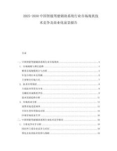 2025-2030中國智能駕駛輔助系統(tǒng)行業(yè)市場現(xiàn)狀技術(shù)競爭及商業(yè)化前景報(bào)告