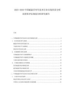 2025-2030中國(guó)磁懸浮列車技術(shù)行業(yè)市場(chǎng)供需分析及投資評(píng)估規(guī)劃分析研究報(bào)告
