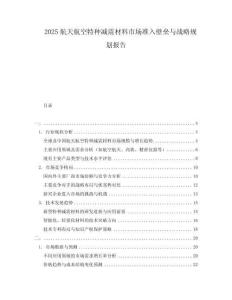 2025航天航空特種減震材料市場準入壁壘與戰(zhàn)略規(guī)劃報告