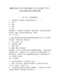 2025海南文昌市人民醫(yī)院編外工作人員招聘（9號）考前自測高頻考點(diǎn)模擬試題附答案詳解（名師推薦）