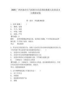 2025广西河池市巴马瑶族自治县消防救援大队招录3人模拟试卷及答案详解（新）
