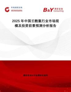2025年中國壬酰氯行業(yè)市場規(guī)模及投資前景預(yù)測分析報告