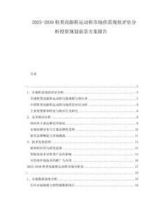 2025-2030鞋類高跟鞋運動鞋市場供需現(xiàn)狀評估分析投資規(guī)劃前景方案報告