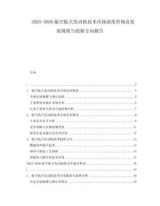 2025-2030航空航天發(fā)動(dòng)機(jī)技術(shù)市場(chǎng)深度咨詢及發(fā)展現(xiàn)狀與創(chuàng)新方向報(bào)告