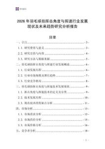 2026年羽毛球拍揮擊角度與揮速行業發展現狀及未來趨勢研究分析報告