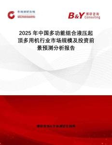 2025年中國多功能組合液壓起頂多用機(jī)行業(yè)市場規(guī)模及投資前景預(yù)測分析報(bào)告