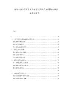 2025-2030中國衛(wèi)星導航系統(tǒng)商業(yè)化應用與全球競爭格局報告