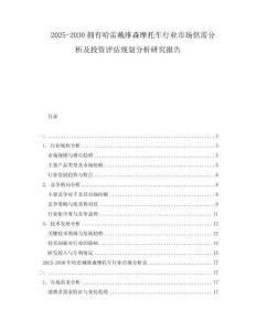 2025-2030擁有哈雷戴維森摩托車(chē)行業(yè)市場(chǎng)供需分析及投資評(píng)估規(guī)劃分析研究報(bào)告