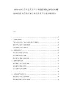 2025-2030公司法人資產(chǎn)管理創(chuàng)新研究公司治理財(cái)務(wù)風(fēng)險(xiǎn)技術(shù)監(jiān)管政策創(chuàng)新投資主體價(jià)值分析報(bào)告