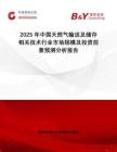 2025年中國天然氣輸送及儲存相關(guān)技術(shù)行業(yè)市場規(guī)模及投資前景預(yù)測分析報告