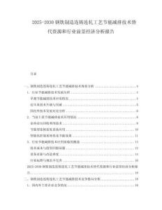 2025-2030鋼鐵制造連鑄連軋工藝節(jié)能減排技術(shù)替代資源和行業(yè)前景經(jīng)濟(jì)分析報(bào)告