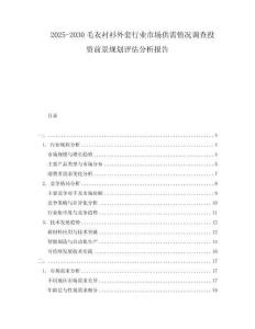 2025-2030毛衣襯衫外套行業(yè)市場(chǎng)供需情況調(diào)查投資前景規(guī)劃評(píng)估分析報(bào)告