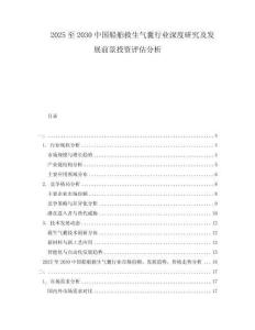 2025至2030中國(guó)船舶救生氣囊行業(yè)深度研究及發(fā)展前景投資評(píng)估分析