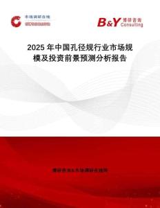 2025年中國孔徑規(guī)行業(yè)市場規(guī)模及投資前景預測分析報告