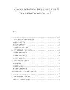 2025-2030中國(guó)汽車后市場(chǎng)服務(wù)行業(yè)深度調(diào)研及保養(yǎng)維修發(fā)展趨勢(shì)與產(chǎn)業(yè)經(jīng)濟(jì)潛力研究