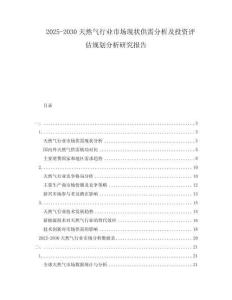 2025-2030天然氣行業(yè)市場現(xiàn)狀供需分析及投資評估規(guī)劃分析研究報告