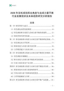 2026年羽毛球拍揮擊角度與擊球力量平衡行業發展現狀及未來趨勢研究分析報告