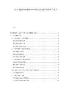 2025物流中心行業(yè)中小型企業(yè)突圍策略研究報告