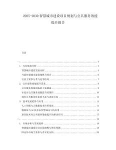 2025-2030智慧城市建設項目規(guī)劃與公共服務效能提升報告