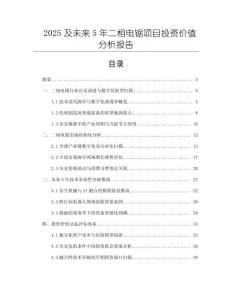 2025及未来5年二相电锯项目投资价值分析报告