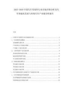 2025-2030中國汽車零部件行業(yè)市場詳細(xì)分析及汽車智能化發(fā)展與傳統(tǒng)汽車產(chǎn)業(yè)鏈分析報(bào)告