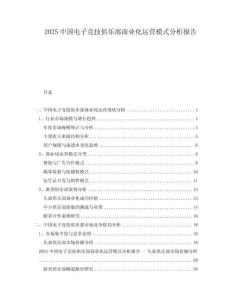 2025中國(guó)電子競(jìng)技俱樂(lè)部商業(yè)化運(yùn)營(yíng)模式分析報(bào)告