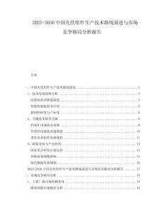2025-2030中國光伏組件生產(chǎn)技術(shù)路線演進(jìn)與市場競爭格局分析報(bào)告