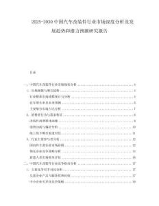 2025-2030中國(guó)汽車改裝件行業(yè)市場(chǎng)深度分析及發(fā)展趨勢(shì)和潛力預(yù)測(cè)研究報(bào)告