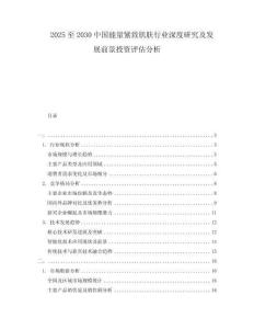 2025至2030中國能量緊致肌膚行業(yè)深度研究及發(fā)展前景投資評估分析