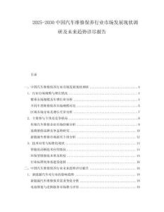 2025-2030中國(guó)汽車維修保養(yǎng)行業(yè)市場(chǎng)發(fā)展現(xiàn)狀調(diào)研及未來(lái)趨勢(shì)詳盡報(bào)告
