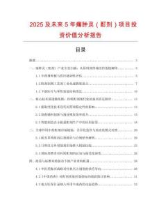 2025及未來5年痛腫靈（酊劑）項目投資價值分析報告